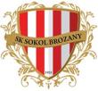 SK Sokol Brozany 	  	