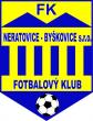 FK Neratovice 